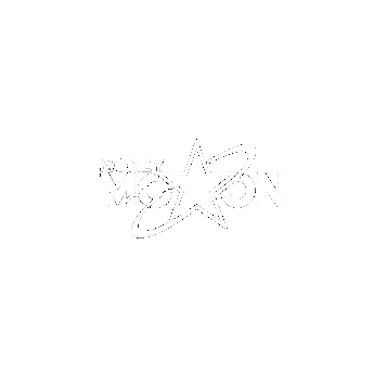 Money Motion